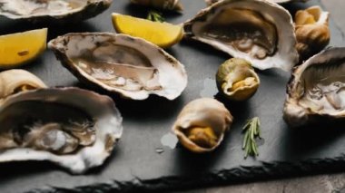 Luxury seafood set with oysters and snails served with lemon and rosmarine