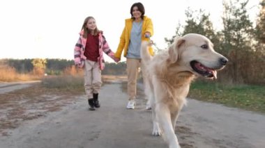 Girl and her child with golden retriever dog walking in sunset time at nature and smiling. Mother with daughter and doggy pet outdoors