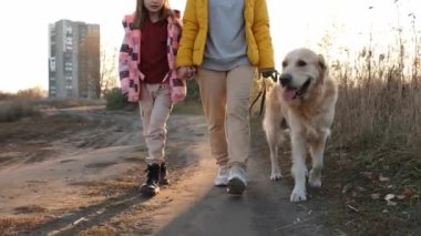 Girl and her child with golden retriever dog walking in sunset time at nature. Mother with daughter and doggy pet together outdoors with beautiful sun light