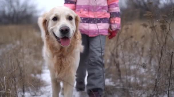 Golden Retriever Dog Walking Little Girl Snowy Road Winter Nature — Vídeo de Stock