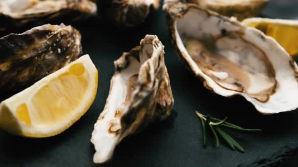 Fresh Oysters Lemon Spinning Black Platter Closeup View Seafood — Video Stock