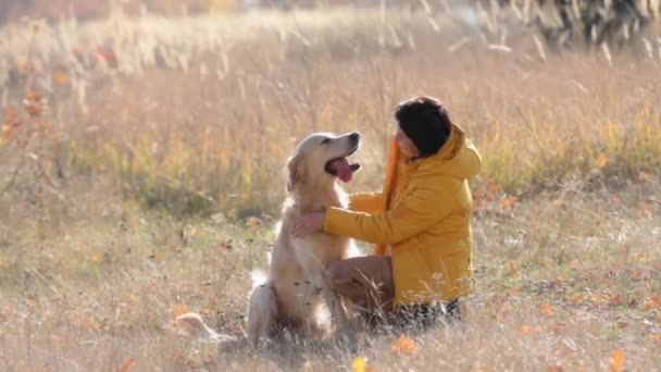 Κορίτσι Χαϊδεύει Χρυσό Σκύλο Ριτρίβερ Κάθεται Στο Πεδίο Φθινόπωρο Και — Αρχείο Βίντεο