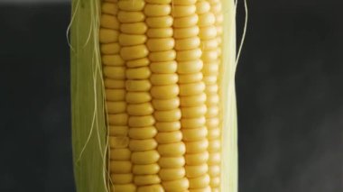Fresh raw corn close up rotating on a dark background