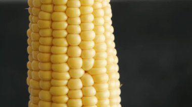 Fresh raw corn close up rotating on a dark background