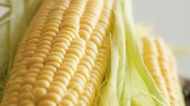 Fresh raw corn close up rotating on a table