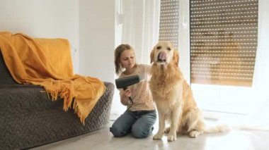 Mutlu küçük kız evdeki ıslak Golden Retriever köpeğine kurutucuyu üflüyor. Köpek ve çocuk banyodan sonra.