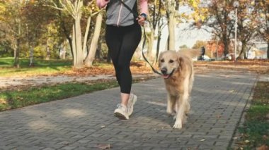 Sport girl running with golden retriever dog together at autumn park. Beautiful young woman with pet doggy labrador exercising outdoors