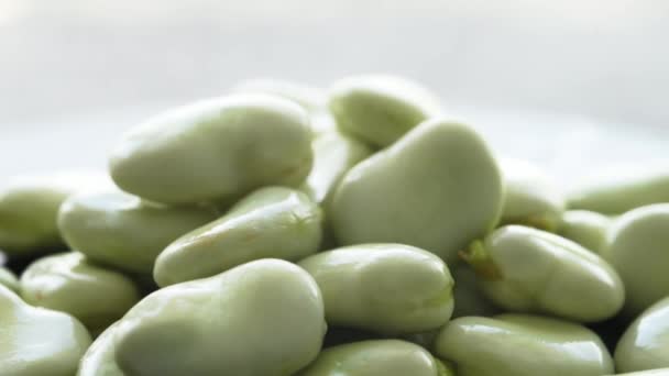 Green Raw Beans Closeup Organic Healthy Vegetsarian Legume Harvest — Vídeo de Stock
