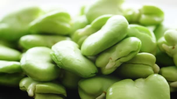 Green Raw Beans Closeup Organic Vegetsarian Legume Harvest Healthy Nutrition — Video Stock