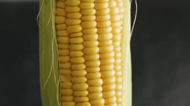 Fresh Raw Corn Close Rotating Dark Background — Stockvideo