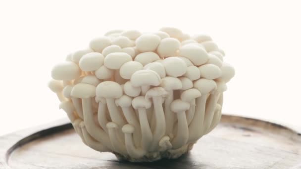 White Mushrooms Shimeji White Asian Food — Stock videók