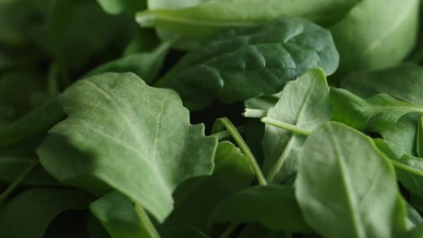 Green Leaves Mix Spinach Arugula Close Ingredients Healthy Eating — Vídeo de stock