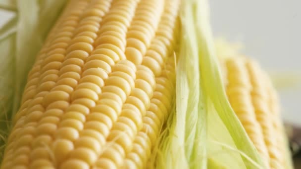 Fresh Raw Corn Close Rotating Table — Vídeo de stock