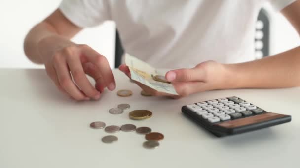 Child Gathering Coins Money Banknote Euro Hand Calculator Lies Table — Vídeo de stock