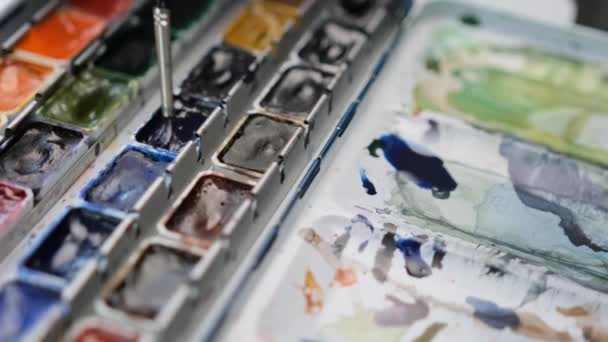 Painter Takes Blue Color Watercolor Palette Paintbrush Mixes Water Colorful — Vídeos de Stock
