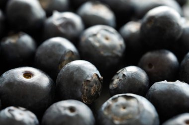 ripe blueberries fresh harvest, macro shot