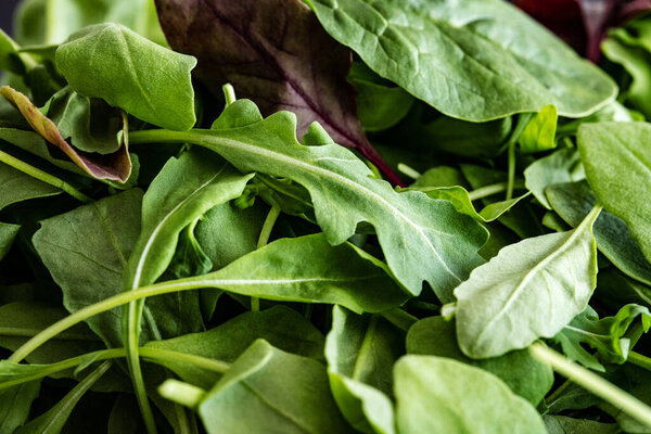 Leaves mix of spinach greens, arugula and basil. Ingredients for healthy eating.