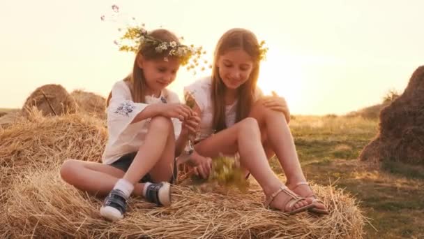 Dvě Krásné Sestry Věnec Sedí Kupce Sena Očichávají Květiny Tkají — Stock video