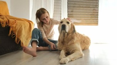Mutlu küçük kız evde Golden Retriever köpeğini tarıyor. Çocuk banyodan sonra köpeği tarıyor..