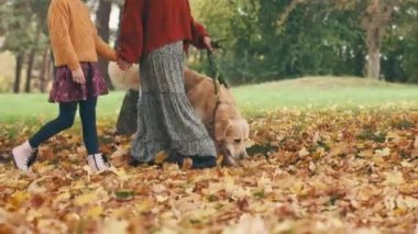 Anne ve kızı sonbahar parkında altın renkli bir köpekle yürüyor. Aile dışarıda köpeklerle dinleniyor..