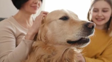 Anne ve küçük kız Golden Retriever köpeğini okşayıp koltukta oturuyor ve gülümsüyor. Saf köpek evcil hayvanı olan güzel bir genç kız ve genç bir kadın.