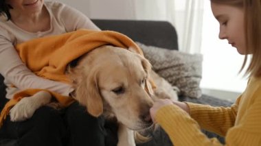 Golden Retriever köpeği kokluyor ve yiyecekle kız eli seçiyor. Ergenlik çağındaki kız çocuk, anne ve kız çocuk oynuyorlar ve köpekleri besliyorlar.
