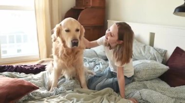 Güzel kız Golden Retriever köpeğini yatakta okşuyor ve gülümsüyor. Prematüre kız çocuk, sabah yatak odasında safkan köpek labradoruna sarılıyor.