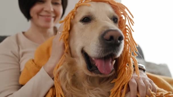 Hermosa Chica Acariciando Perro Golden Retriever Cubierto Con Manta Amarilla — Vídeos de Stock