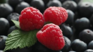 Yabanmersinli ahududu taze hasat, makro shot