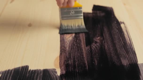 筆で木のテーブルのニス含浸で着色 茶色の色絵や木製の表面をニス塗り 家や家具の改装 — ストック動画