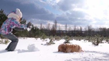 Golden Retriever köpeği olan genç bir kız, buz ormanında karla oynuyor. Safkan evcil hayvanı olan çocuk soğuk havada dışarıda eğleniyor.