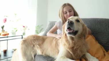 Tatlı kız Golden Retriever köpeğini yatakta okşuyor. Safkan evcil köpek labrador 'u olan güzel bir çocuk.