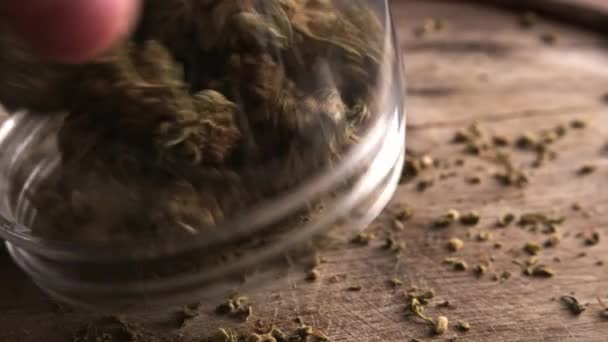 将盛有大麻酚的干大麻大麻花从罐子里倒到盘子里 — 图库视频影像