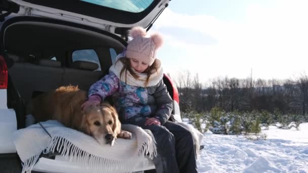 冬の屋外で車のトランクに座っている小さな女の子は黄金のレトリバー犬をストロークします 雪の性質で車の中で純血種のペットを持つ子供 — ストック動画