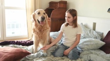 Güzel kız Golden Retriever köpeğini yatakta okşuyor ve gülümsüyor. Çocuk sabah yatak odasında köpek patisi istiyor..