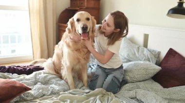 Güzel kız Golden Retriever köpeğini yatakta okşuyor ve gülümsüyor. Safkan evcil köpek labradoru çocuk yatak odasında.
