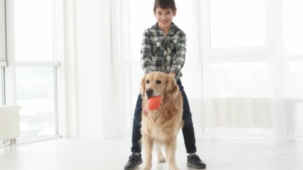 Barnpojke Med Golden Retriever Hund Hemma Med Dagsljus Kid Och — Stockvideo