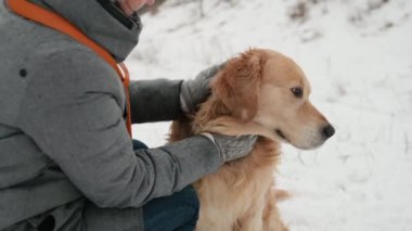 Kış zamanı Golden Retriever köpeğini okşayan bir kız. Saf evcil hayvan labradoru, soğuk havası olan genç bir kadın.