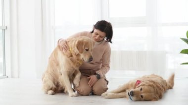 Golden Retriever köpeklerini evde okşayan bir kız. Safkan evcil köpekleri olan genç bir kadın. Lambada labradorlar.