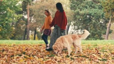 Anne ve kızı altın renkli bir köpekle sonbahar parkında yürüyorlar. Mutlu aile dışarıda köpeklerle dinleniyor..