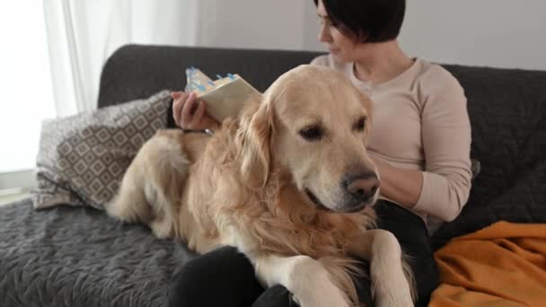 Mooi Meisje Met Gouden Retriever Hond Leesboek Zittend Bank Thuis — Stockvideo