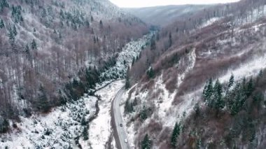 Yamaçta kar ve dağların arasında yol olan kış ormanı