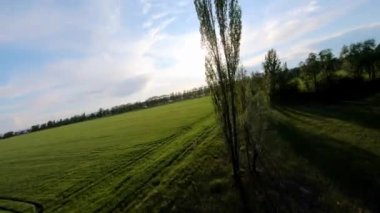 Tarımın yanında yetişen yeşil ağaçların güzel manzarası