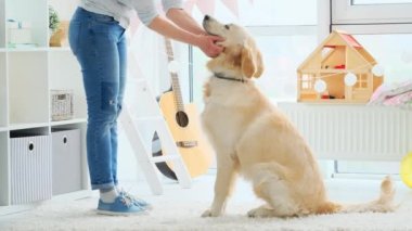 Parlak odada sevimli Golden Retriever 'ı olan mutlu kadın.