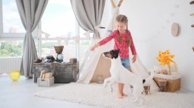 Küçük kız çocuk odasında tilki teriyer köpeği eğitiyor.