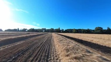 Açık mavi gökyüzü altında hasat alanı, İHA 'dan görünüm