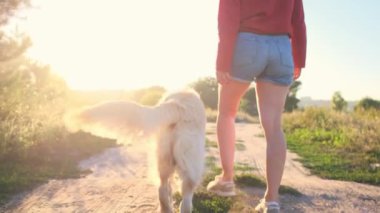 Kız bacakları ve Golden Retriever yürüyüş yolu gün batımında, dikiz manzarası