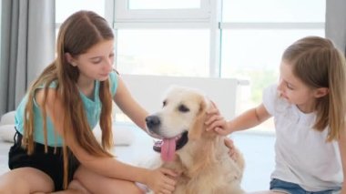 Küçük kızlar köpek besliyor, Golden Retriever cinsi.