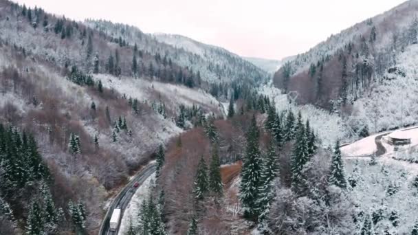 山の上に裸の凍結木と冬の森 耳のビュー — ストック動画
