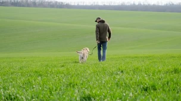 緑の畑を歩く犬を持つ男のバックビュー — ストック動画